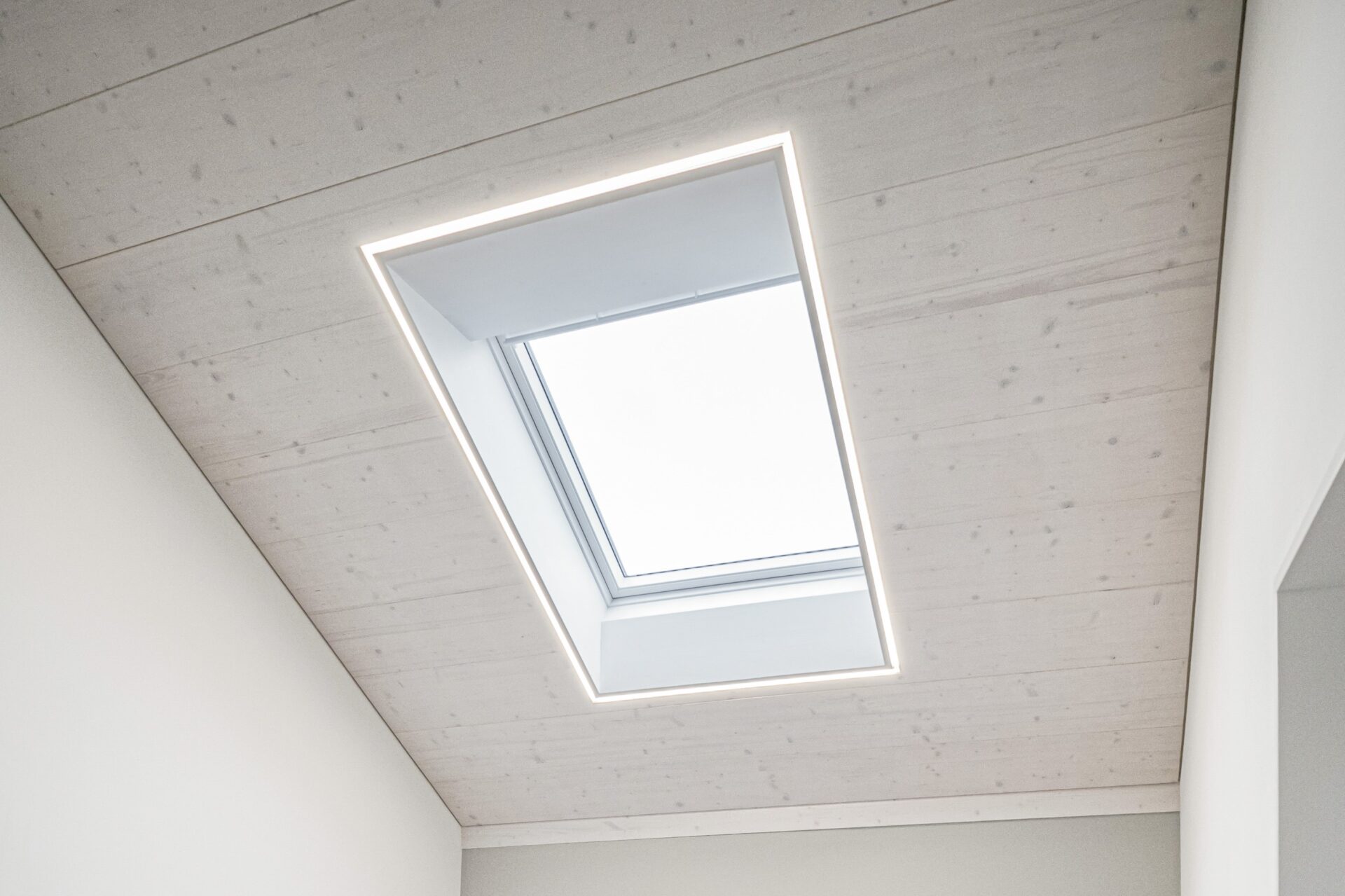 merge Neubau EFH Reinach