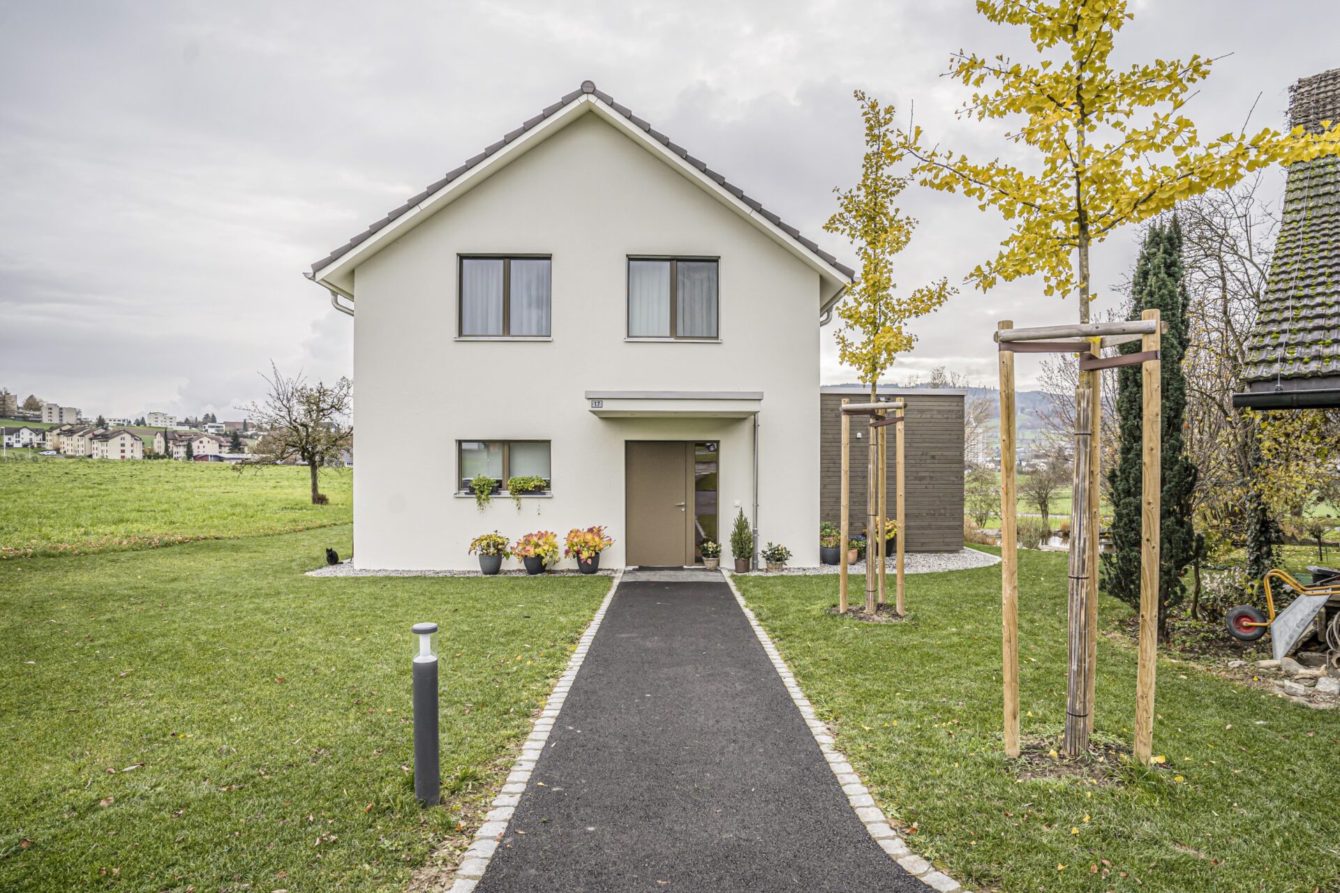 merge Neubau EFH Reinach